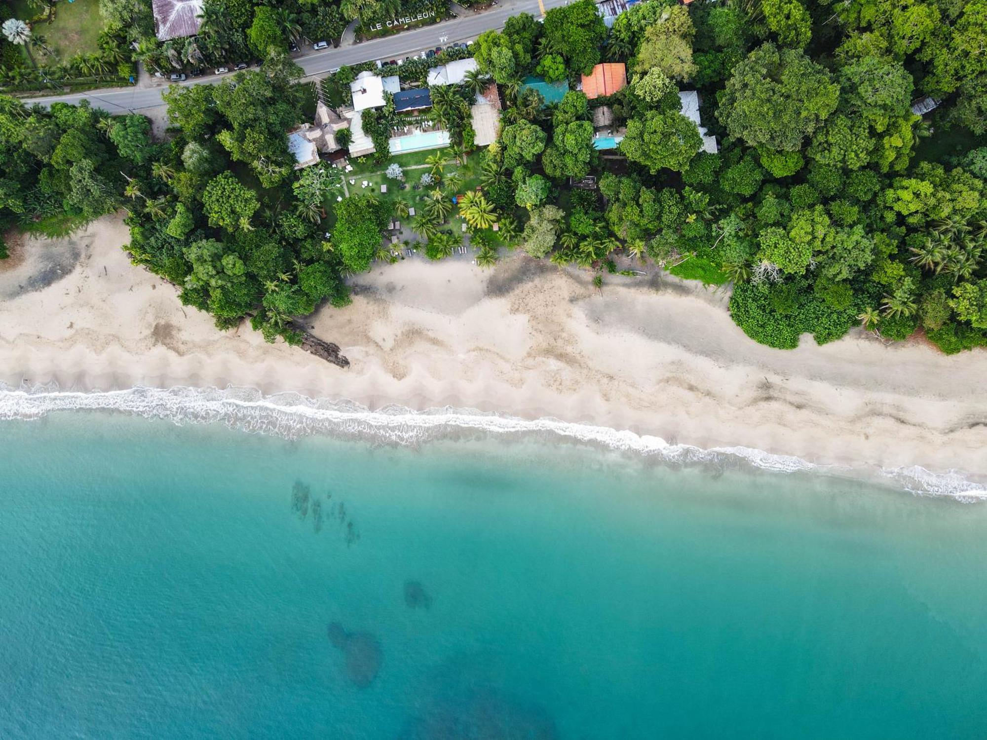 Le Cameleon Boutique Hotel Puerto Viejo de Talamanca Bagian luar foto
